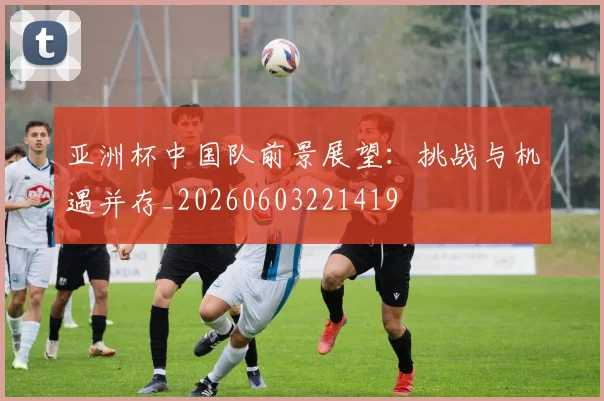 亚洲杯中国队前景展望:挑战与机遇并存_20260603221419