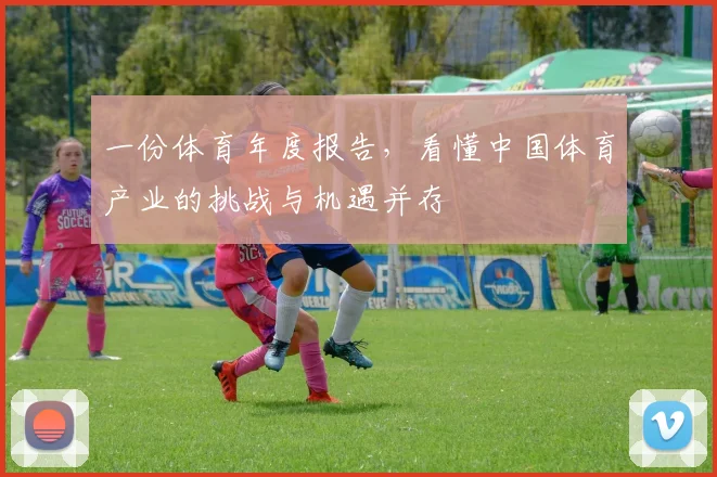 一份体育年度报告,看懂中国体育产业的挑战与机遇并存