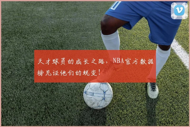 天才球员的成长之路,NBA官方数据榜见证他们的蜕变!
